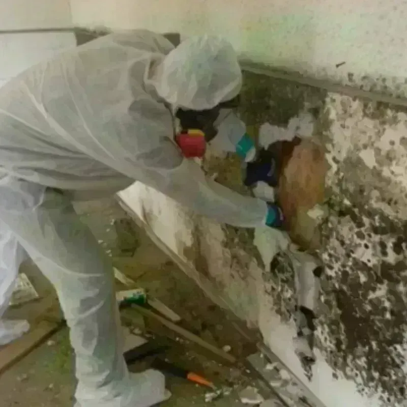 Mold Remediation and Removal in Crompond, NY